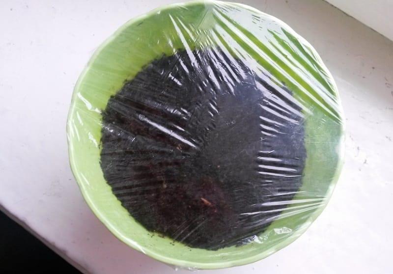 quýt ở nhà