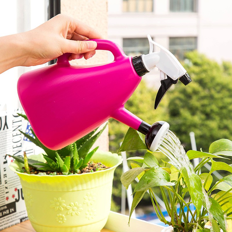 Làm thế nào để chiếc đinh gỉ sét có thể cứu cây sắp chết của bạn