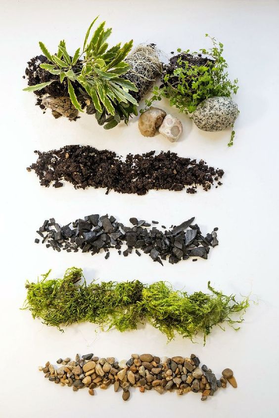 Quy trình các lớp trong terrarium