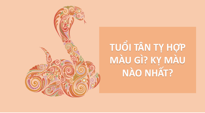 Tuổi Tân Tỵ hợp màu gì? Kỵ màu nào nhất
