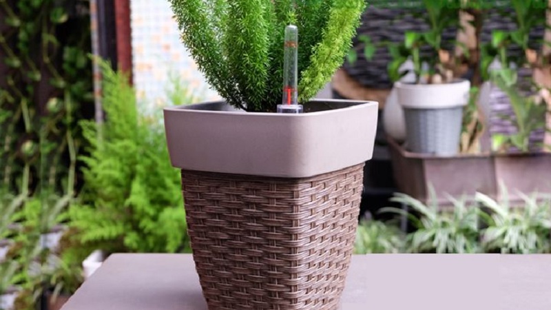 Chậu trồng cây thông minh