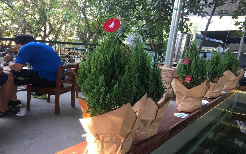 Ngoài dùng trang trí ra thì chúng còn có thể làm quà tặng bạn bè, người thân