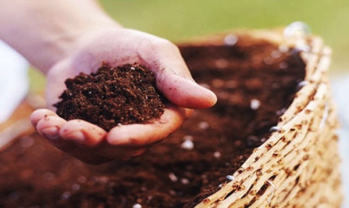 Phân Bón Vi Sinh Là Gì Định nghĩa, ý nghĩa và cách sử dụng hiệu quả