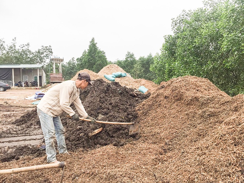 Phân bón hữu cơ là gì? Ý nghĩa, công dụng và cách làm tự nhiên