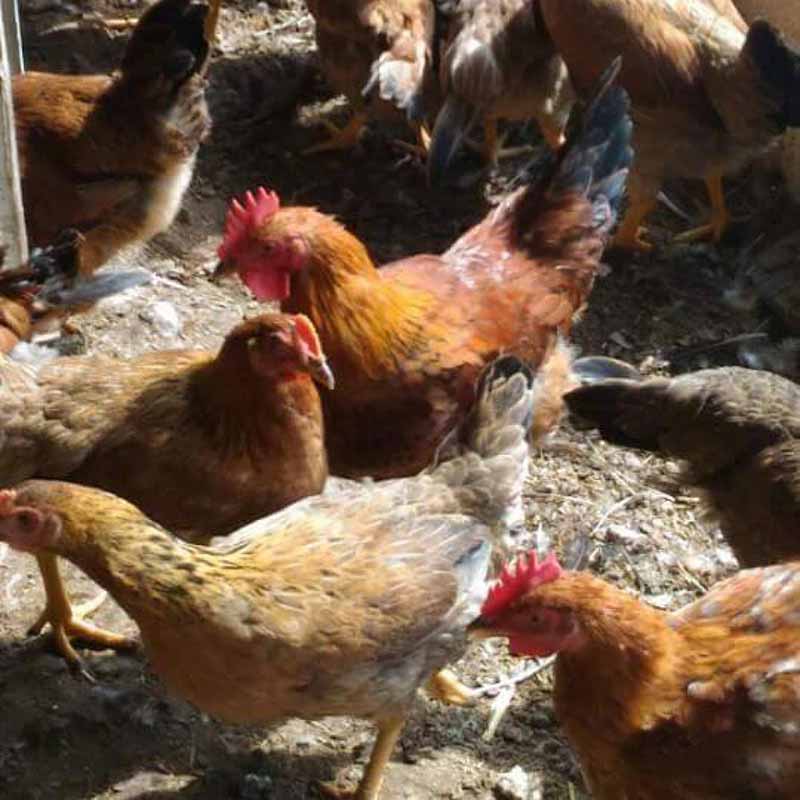 Cách đánh bida phăng Kỹ thuật, góc đánh và chiến thuật hiệu quả