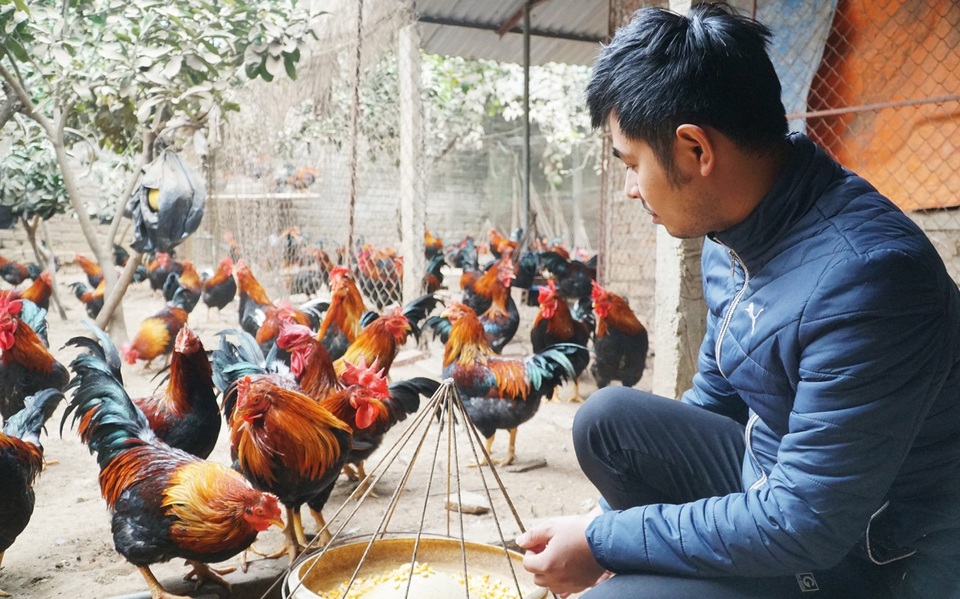 Cách đánh bida phăng Kỹ thuật, góc đánh và chiến thuật hiệu quả